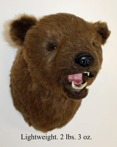 Brown bear head mount on a white background with text indicating weight.