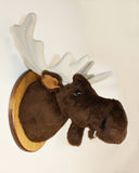 Moose medium Plush Wall Mount - 'Shorty'