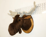 Moose medium Plush Wall Mount - 'Shorty'
