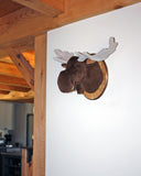 Moose medium Plush Wall Mount - 'Shorty'