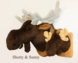 Moose medium Plush Wall Mount - 'Shorty'