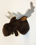 Moose medium Plush Wall Mount - 'Shorty'