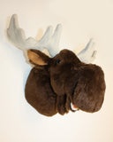 Moose medium Plush Wall Mount - 'Shorty'