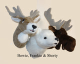 Bear Polar Medium Plush Wall Mount - 'Frankie'