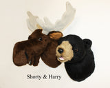 Bear Black Small Plush Wall Mount - 'Harry'