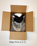 Skunk Small Plush Wall Mount - 'Simon'