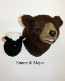 Skunk Small Plush Wall Mount - 'Simon'