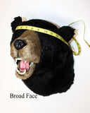 Bear Black X-Large Plush Wall Mount - 'Stormy'