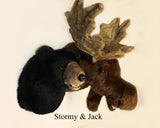 Stormy X-Large Black Bear