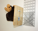 Moose Tiny Plush Wall Mount - 'Sunny'