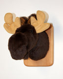 Moose Tiny Plush Wall Mount - 'Sunny'