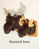 Moose Tiny Plush Wall Mount - 'Sunny'