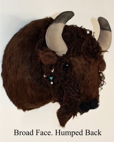 Faux taxidermy large buffalo head with  8" horns, Broad face, and humped back on a white background