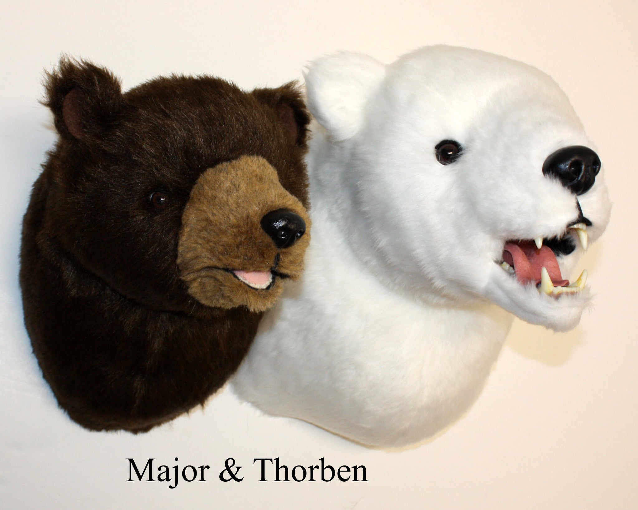 Thorben_Major_11-25_2695_2048x