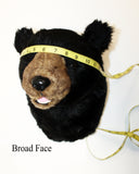 Bear Black Large Plush Wall Mount - 'Ursa'