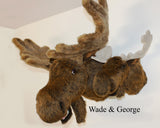 Wade - XX-Large Moose