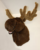 Weston - Largest Moose
