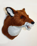 Carson - Medium Red Fox