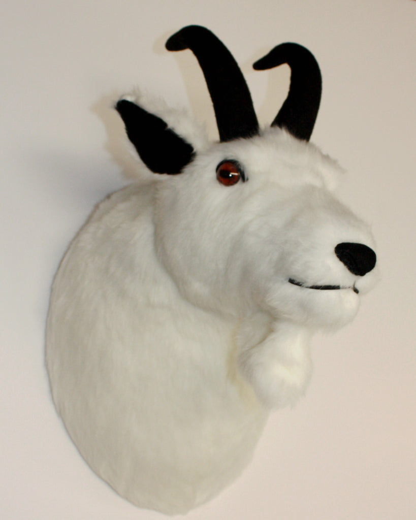 Stuffed animal mountain goat - North Cascades Institute