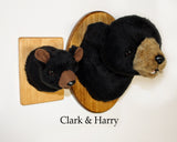 Harry - Small Black Bear