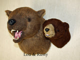 Lou - X-Large Grizzly Bear - Fairgame Wildlife