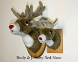 Rudy - Small Deer