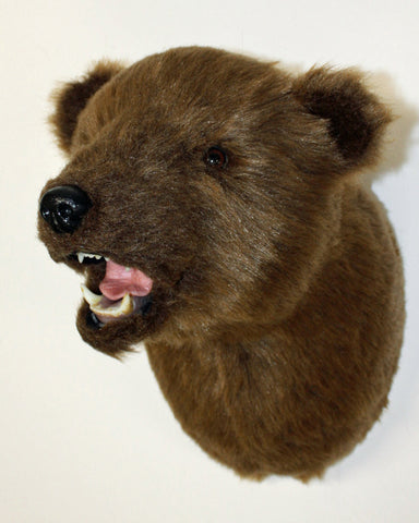 Bear Kodiak Plush Wall Mount - 'Shash'