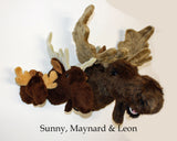 Maynard - Small Moose