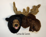 Ursa - Large Black Bear