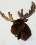 Weston - Largest Moose